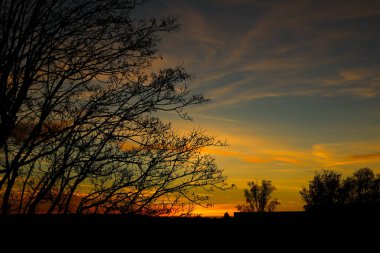 Ağacın arkasında bulutlu bir gün batımı