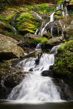 Kuzey Carolina 'daki Catawba Şelalesi manzarası