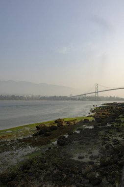 Vancouver 'dan Batı Vancouver' a giden köprünün puslu manzarası