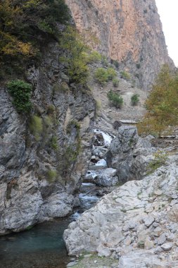 Şelale kayalık arazisi. altın sonbahar.