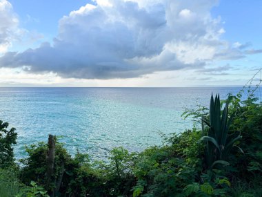 Karayip denizi ve tropikal bitkiler üzerindeki bulutlar