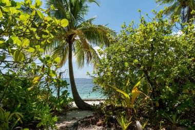 Mathiveri, Maldivler 'deki Tropik Plaj Cenneti