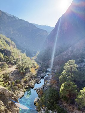 Şelale yemyeşil, hoş bir manzara.