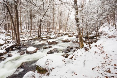 Taze karla kaplı bir patikanın yakınındaki ormanda bir dere esiyor.