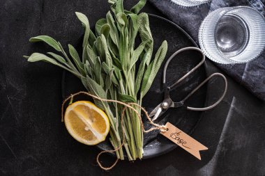 Mutfağın içinde bilge bitki var.