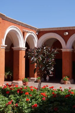 Garden in the inner courtyard of the monastery