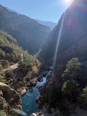 Şelale yemyeşil, hoş bir manzara.