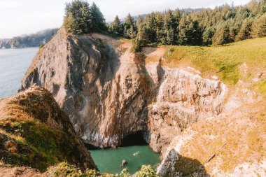 Yaz boyunca Oregon Sahili 'nde 101. Otoyol' da saklı Hazine Koyu