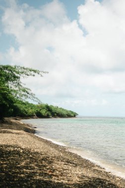 Tamarindo Sahili 'ndeki turkuaz suyu ve çakıllı sahili temizleyin.
