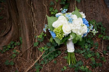 Düğün Buketi Ağaç Gövdesine Karşı Dinleniyor