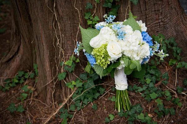 Düğün Buketi Ağaç Gövdesine Karşı Dinleniyor