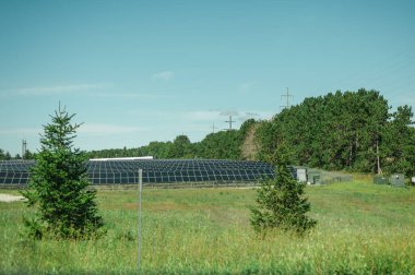 Traverse City, Michigan dışındaki ağaçların yakınındaki güneş paneli alanı