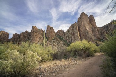 Canlı, dağlık çöl manzarasında toprak izi.