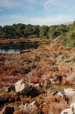 La Gola Doğa Koruma Alanı Bataklık, Mallorca