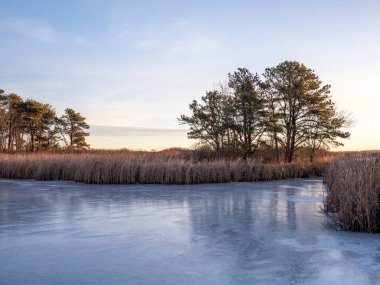 Maine 'de Donmuş Gölet