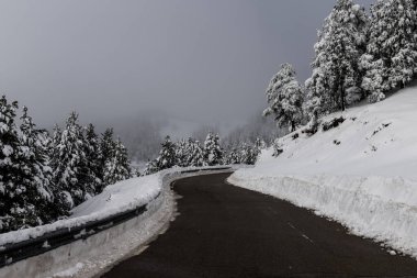 Kıvrımlı bir yol karla kaplı arazide kıvrılır.