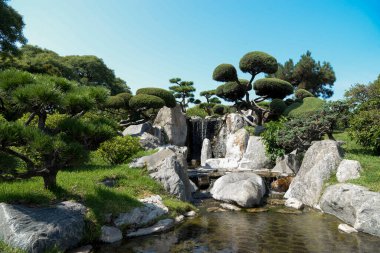 Tipik bir Japon bahçesindeki şelale ve siyah çam ağaçları.