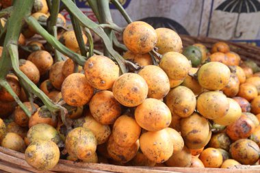 Olgun betel fındık stoğu