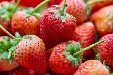 Yeşil Köklü Canlı Kırmızı Çileklerin Yakın Görüntüsü