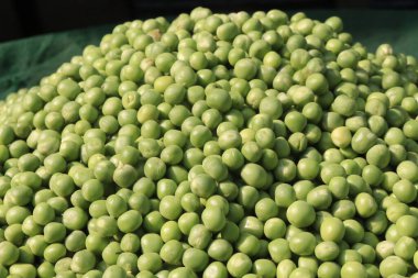 Satmak için dükkandaki Pisum sativum tohumu stokları nakit mahsuldür.