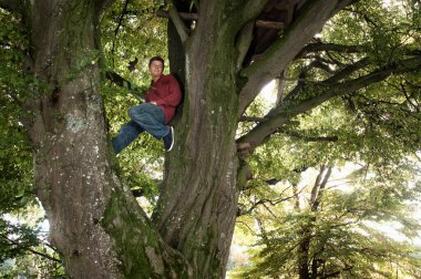 Genç adam sonbahar ormanında büyük bir ağaçta oturuyor.