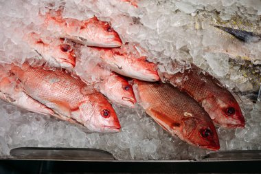 Ezilmiş buz üzerinde kırmızı balık sergilenir.