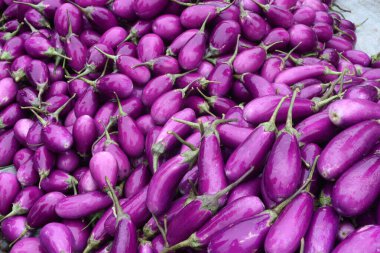 Mor Brinjal 'ın hasadı nakit mahsuldür. Biyoaktif bileşenler, potasyum, fiber, karbonhidrat, vitamin B6 gibi temel bileşenleri nedeniyle kalbe kan dolaşımı yapabilir.