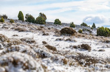 Beyaz kar ve mavi gökyüzü ile kış manzarası