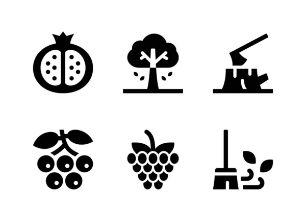 Simple Set Autumn Related Vector Solid Icon Содержит Иконы Граната — стоковый вектор