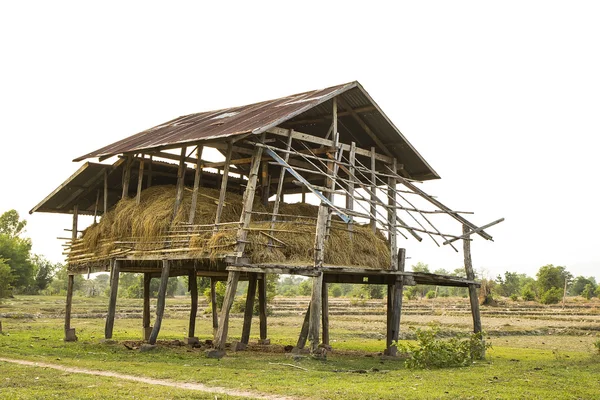 Shack voor opslag van rijst stro. — Stockfoto