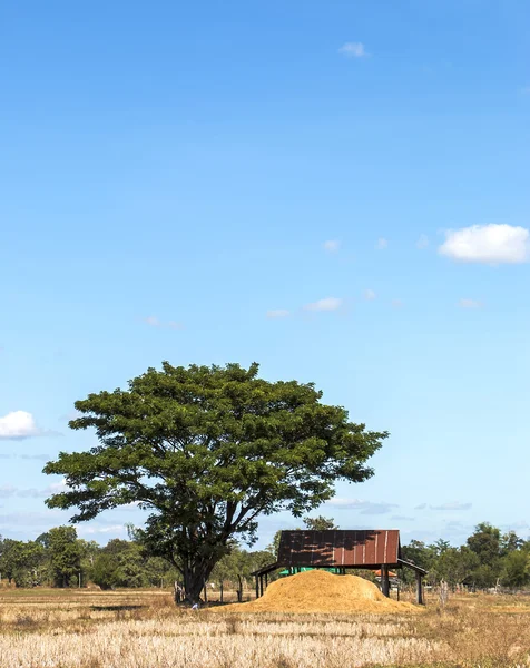 Paja en los campos — Foto de Stock