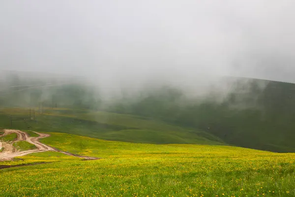 Kuzey Kafkasya, dağlar, Bermamyt yaylası.