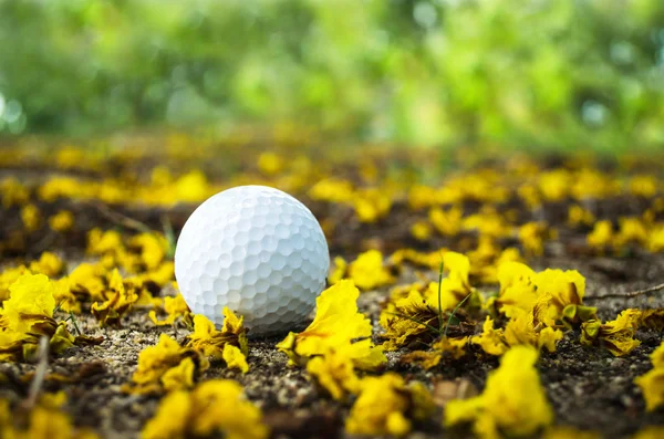 Golfboll med gul blomma — Stockfoto