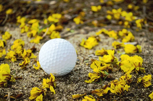 Golfball mit gelber Blume — Stockfoto