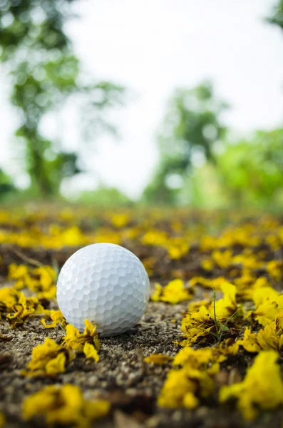 Golfbal — Stockfoto