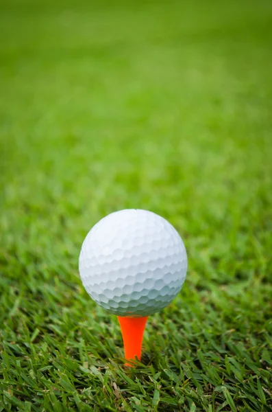 Golfboll på tee — Stockfoto