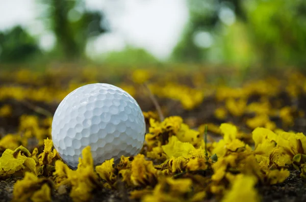 Bola de golfe em T — Fotografia de Stock