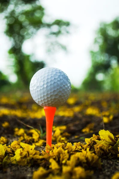 Golfball auf Tee — Stockfoto