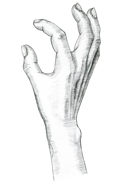 Hand pinch gesture. Hand drawing in pencil. — Stock Photo, Image