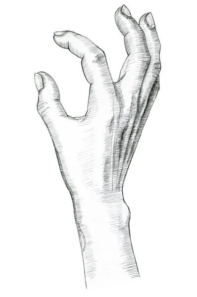 Um gesto de beliscar a mão. Desenho à mão a lápis . — Fotografia de Stock