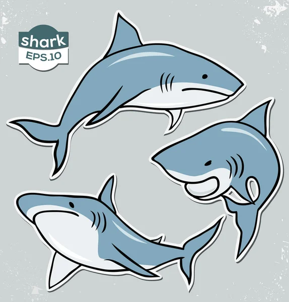 Colecție de rechini de desene animate . — Vector de stoc