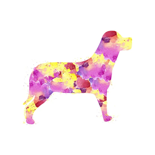 Dog Watercolor Splash Effect Clear White Background — Stock Photo, Image