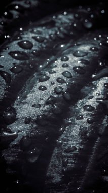 Güzel bahar makrosu, detaylı doğa elementleri.