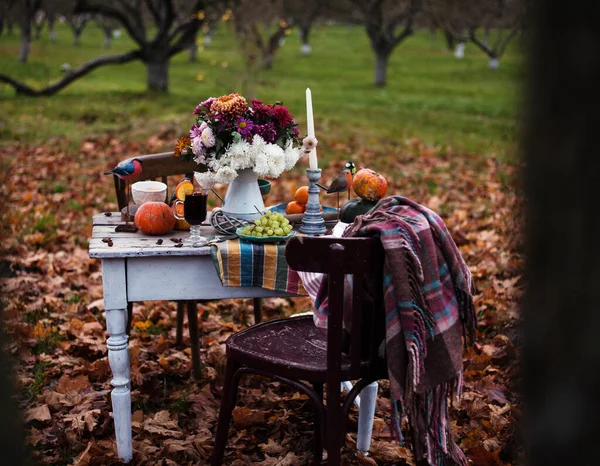 Outono Background Vintage Mesa Com Abóboras Laranjas Outono Garden Thanksgiving — Fotografia de Stock