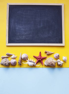 Sarı ve mavi renkli deniz kabukları ve ananasları ile yaz arkaplanı .