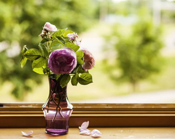 Eine Vase Mit Einer Rosa Rose Auf Der Fensterbank Vor — Stockfoto