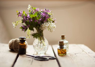 healthy plants, bottle of tincture or infusion. nature background.Herbal medicine. clipart