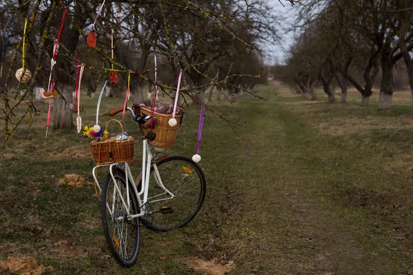 带春花水仙花篮子的东方老式自行车和户外带春花的自行车 — 图库照片