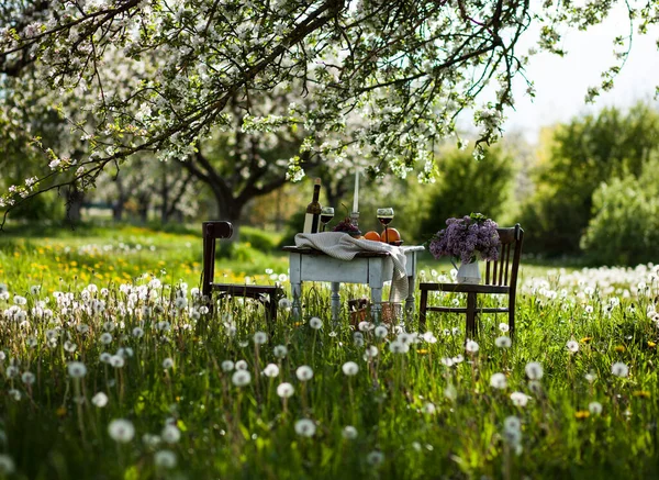 Elma bahçesinde romantik bir akşam yemeği.