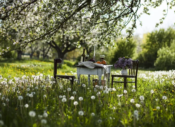 Romantisches Abendessen Blühenden Apfelgarten Stockfoto